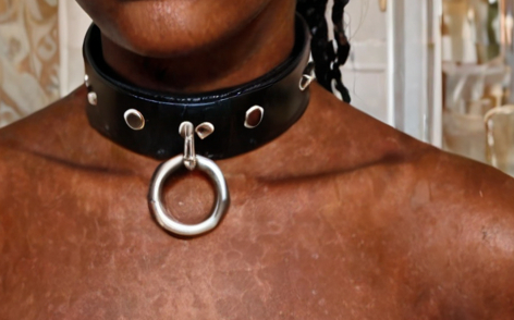 one closeupphotoAleathercolla_30939604-cropped.jpg image